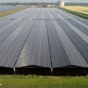 Hollannissa on jo lähes sata vähintään 10 000 paneelin aurinkovoimalaa.