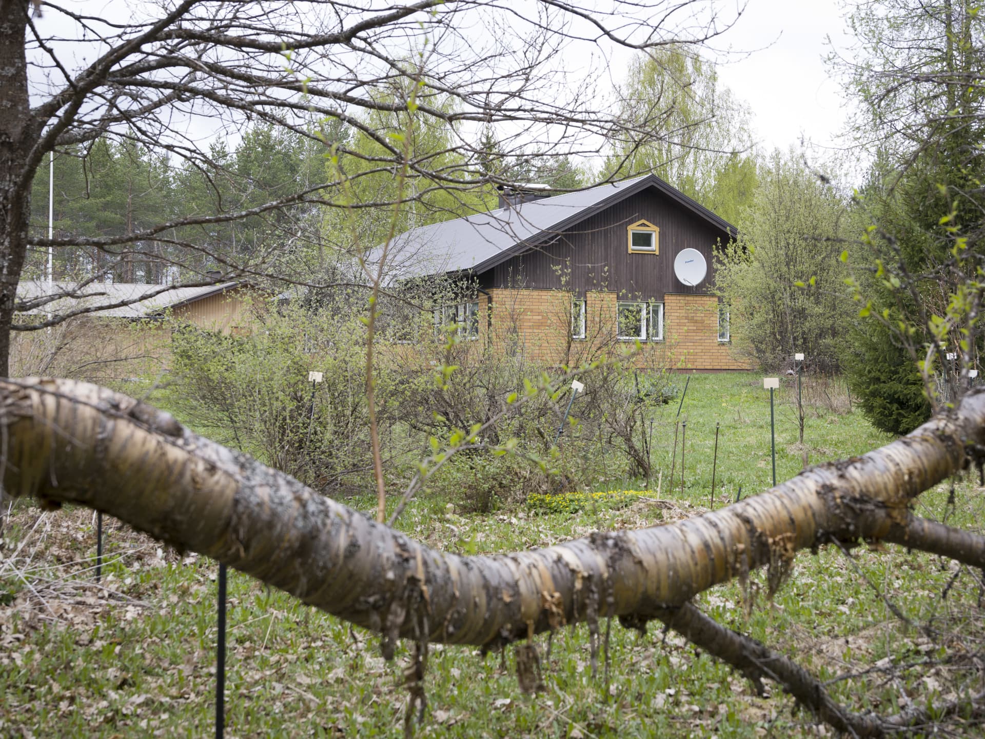 Hamusten koti pilkottaa arboretumin seasta.