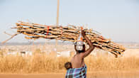 Nainen kantaa polttopuita Hararen kaupungissa Zimbabwessa.