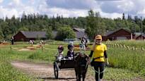 Haltiala's livestock farm in Helsinki became a destination for families with children, where alcohol is no longer served