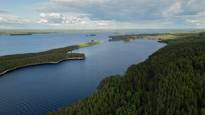 Pielinen on Suomen suurin säännöstelemätön järvi – pian ilmastonmuutos voi muuttaa asian