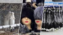 Suomalainen turkis myy taas, mutta ei Suomessa