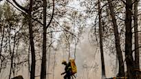 Pariisin lähettyvillä riehunut Fontainebleaun maastopalo saatiin hallintaan