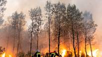 Eurooppa ei ole varautunut tarpeeksi tuhoisiin metsäpaloihin, arvioi meteorologi