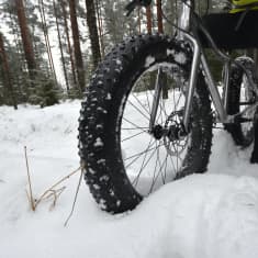 Läskipyörän rengas