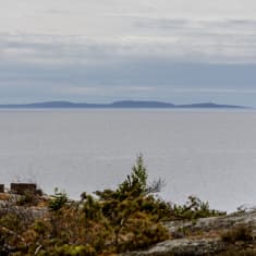 Suursaari