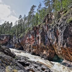 Kiutaköngäs Oulangan kansallispuistossa.
