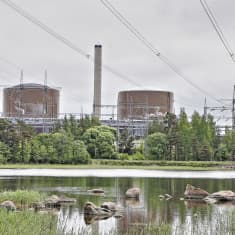 Loviisan ydinvoimalan ykkös ja kakkosreaktorit sijaitsevat Hästholmenin saarella.
