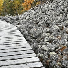 Pitkospuut Pyhätunturin Isokurussa.