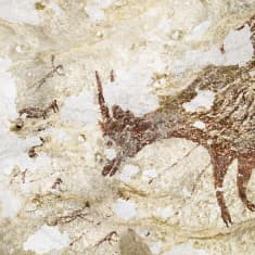 luolamaalaus