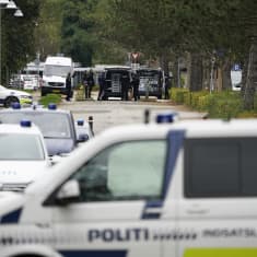 Poliisiautoja Madsenin kiinniottopaikalla.