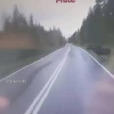 Poliisit välttivät täpärästi hirvikolarin