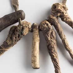 Vanha amuletti Namibiasta.