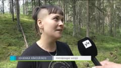 Yle Uutiset Pirkanmaa: Tältä näyttää metsäjooga Seitsemisessä