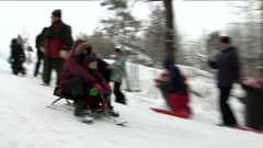Uutisvideot: Laskiaispäivän viettoa Helsingin Taivaskalliolla
