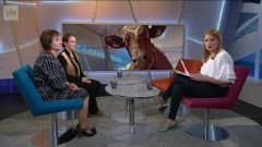 Ylen aamu-tv: Eläinsuojelulaki uudistuu