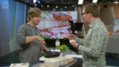 Ylen Aamu-tv: Hyönteisten kotikasvatus