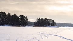 Talvinen merimaisema jossa jäällä hiihtäjien jälkiä.