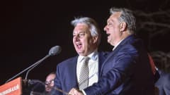 kaksi miestä laulaa mikrofoniin