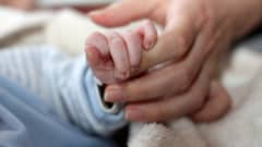 Käsi pitelee vauvan pientä kättä.