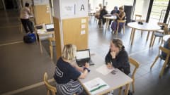 Ros Skogström hakee opiskelupaikkaa
