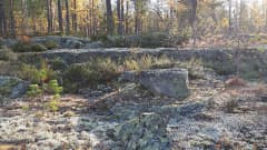 Kalliometsän terassirakenne