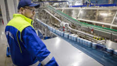 Lonkerotölkkejä tehtaan hihnalla, työntekijä valvoo.