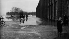 Porin tulva 50-luku