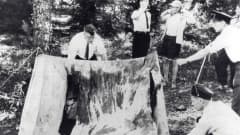 Rikostutkijat tarkastelevat Bodominjärven surmatelttaa kesäkuussa 1960.