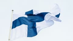 Suomen lippu tangossa.