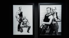 Tom of Finland -näyttelyn pystytystä Tallinnassa.