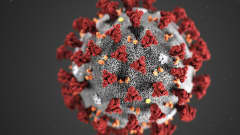 Mallinnettu kuva koronaviruksesta.