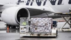 Finnairin kone toi Kiinasta tilattuja suojavarusteita Helsinki-Vantaan lentoasemalle 15. huhtikuuta.
