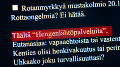 Valokuva tietokoneen ruudulta.