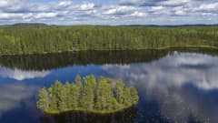 Ilmakuvassa on suomalainen järvimaisema.