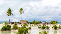 Kylä Tarawan atollilla Kiribatissa.