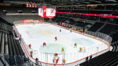 Lausanne, Vaudoise Arena 