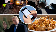 Kuvakombo, jossa henkilön kädet selaavat puhelimella Googlea, kylttien pystytystä Uudenmaan rajalla, henkilö laittaa maskia kasvoilleen, Donald Trump vilkuttaa ja kantarelleja lautasella.