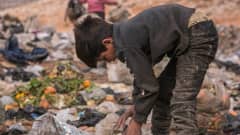 Syyrialaispoika kerää syötävää