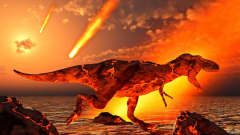 Tulipunainen T. Rex asteroidisateessa.
