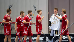 Tiikerit