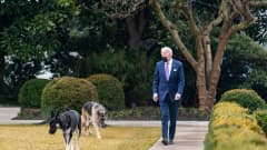 Joe Biden käyskenteli Valkoisen talon puutarhassa.
