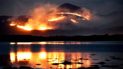 Metsäpalo Mourne Mountains tasangolla Pohjois-Irlannissa 24.4.2021.