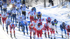 Falun WC
