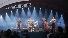 Viisihenkinen orkesteri soittaa lavalla