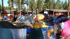 telttoja leirillä