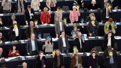 Eu parlamentin jäsenet nostavat Snowden-maskit ylös äänestäessään täysistunnossa Strasbourgissa keskiviikkona 12. maaliskuuta 2014. 