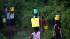 Tytöt kantavat vettä Kenian Homa Bayssa.