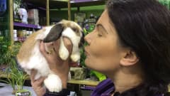 nainenpitelee pientä kania