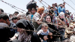 Syyrian pakolaisia odottamassa Syyrian puolella rajanylitystä Turkin puolelle.
